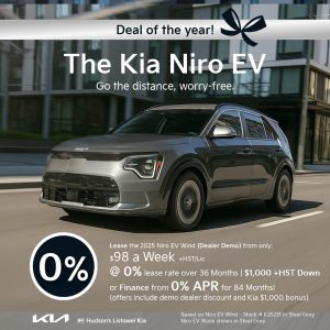 Kia Niro EV