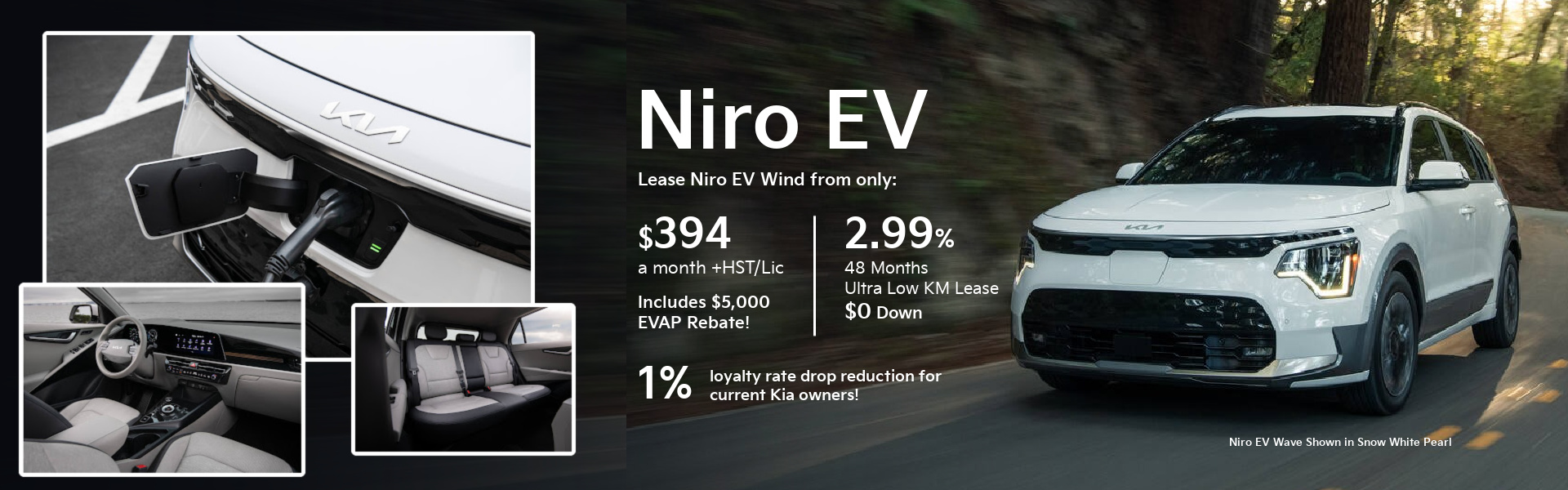 Niro EV Offers